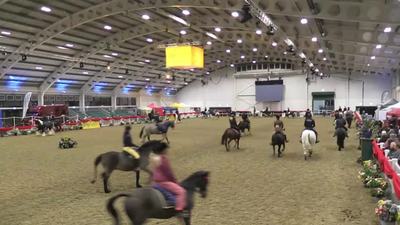 Pretty Ponies Equitation Series, 18th November