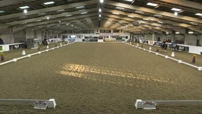 British Dressage Winter Regionals 2024 Arena UK, 18th January Part 1