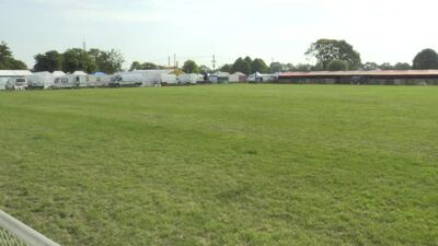 South of England Show 2023, Ardingly, UK, 11th June