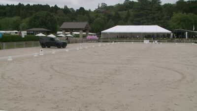 ORO Dressage by the Lake 2023, Takapoto Estate, Maungatautari, New Zealand  Part 2, 24th November