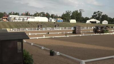 Class 15 Young Dressage Horse Semi-Final 5yr Old, 8th July