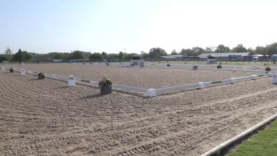 British Dressage Premier League 2023, Somerford Park, Baileys Horse Feeds Arena 1, 26th May