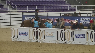 Dual Reining Session 2, Part 1
