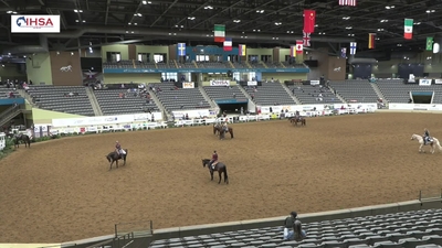 AQHA Individual Level 1 and Open Horsemanship, 5th May