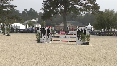 Showjumping Bruce's Field, March 3rd