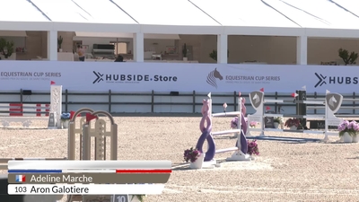 CSI1* - 1m05 - Table A against the clock  & CSI1* - 1m15 - Two Phases Special (274.2.5), 19th April