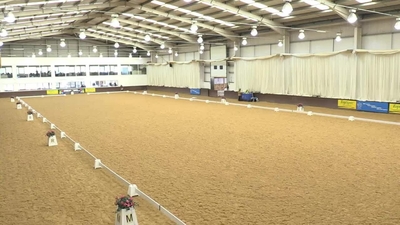 Novice Pairs Dressage to Music