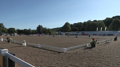 4* Dressage, August 12th