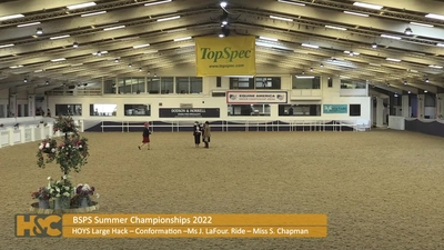 Class 254, HOYS Large Hack