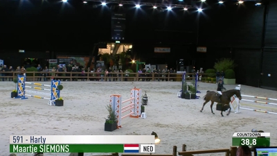 Maartje Siemons & Harly - KWPN Gelding \ Bruin \ 2012 \ Baltic VDL