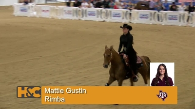 Mattie Gustin & Rimba