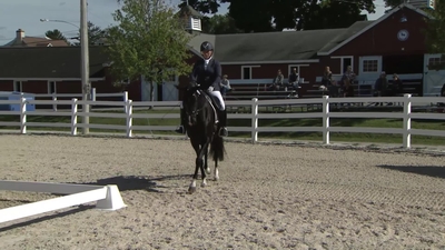 Class 403 FEI Test for 6 Years Olds - Final