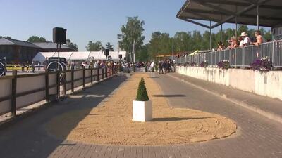 CCI5*L Horse Inspection, English Commentary, 18th June