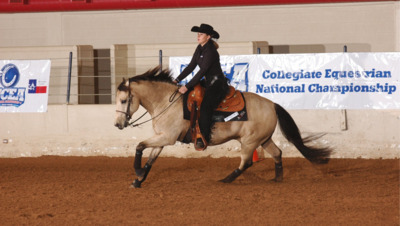 NCEA National Championship