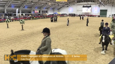 Class 19, Gillivervet Cob Final