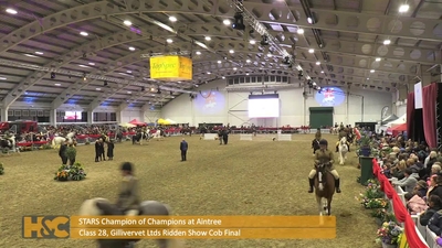 Class 28. Gillivevert Ltd. Ridden Show Cob Final