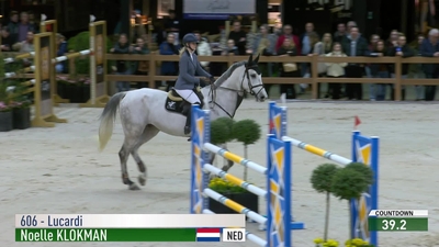 Noelle Klokman & Lucardi - KWPN Stallion \ Schimmel Bruin Geb. \ 2016 \ Cohinoor \ Zirocco Blue