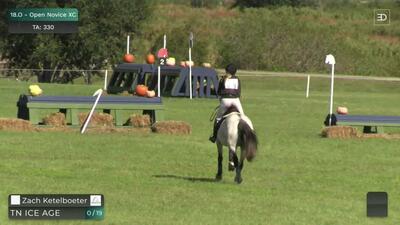 Open Novice, Beginner Novice & Intro XC, November 19th