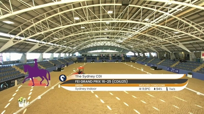 FEI Grand Prix Under 25, 28th April