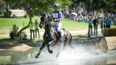 Adelaide Equestrian Festival