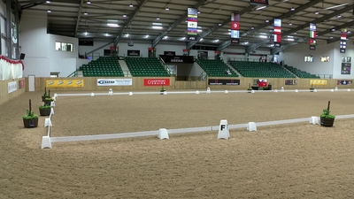 Class 16 Young Dressage Horse Semi-Final 6yr Old, 8th July