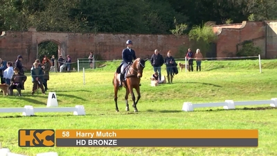 Harry Mutch & HD BRONZE