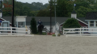 Class 431 USEF Fourth Level Test 3 Part 2