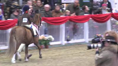 Class 14. M&M Large Breed Ridden Final Rider Clip