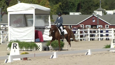 Class 401 USEF YH Test for 4 Year Olds