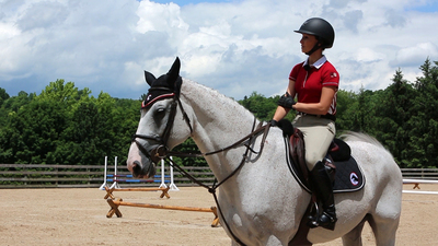 Georgina Bloomberg