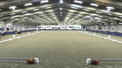 Class 3 High Profile FEI Prix St Georges Q - PSG, 6th December
