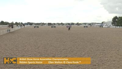 Class 15 Y Ridden Sports Horse, 8th September