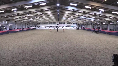 Class 384 Novice Hackney Wagon Horse / Pony, 5th August