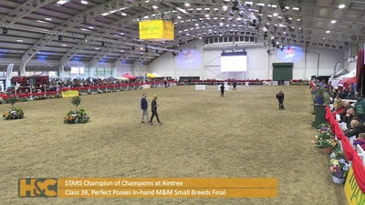 Class 38. Perfect Ponies In-hand M&M Small Breeds Final 
