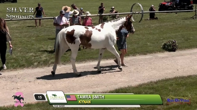 Horse Inspection CCI4*-L, July 19th