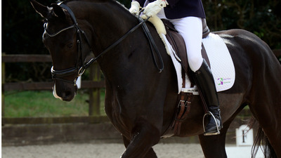 Shearwater British Dressage Young Horse Championships 2016