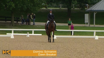 Dominic Schramm & Dawn Breaker