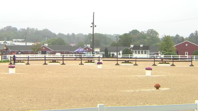 Class 107 3yr Old Colts & Geldings Under Saddle, September 26th