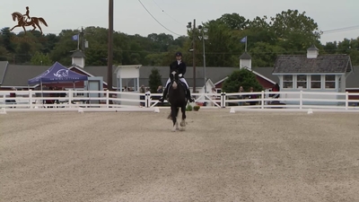 Class 410.1 USEF Fourth Level Test 1
