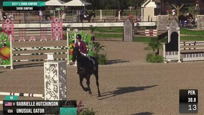 CCI1*-L Show Jumping, November 19th