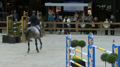 Bert-jan Zuidema & Lambiek - KWPN Gelding \ Schimmel \ 2016 \ Durango VDL \ Indoctro