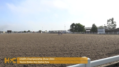 Novice Ridden Non-Native Pony, 13th August 2022