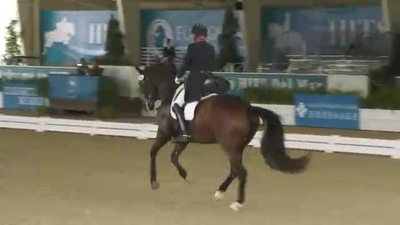 Steffen Peters  & Mani's Endeavour