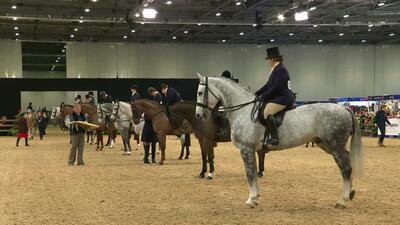 Class 33, Rising Star of Cob Type Championship, 14th December