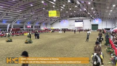 Class 30. Life of Riley Ridden Coloured Native Cob Traditional Final