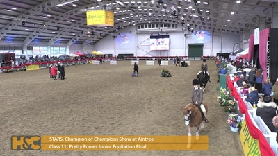 Class 11. Pretty Ponies Junior Equitation Final Horse or pony any height 