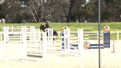 CCI4*-S Showjumping, September 11th