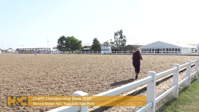 Novice Ridden Native, Traditional, Cob Type Pony, 13th August 2022