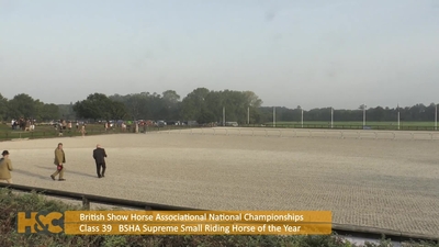 BSHA Supreme Small Riding Horse of the Year, 8th September