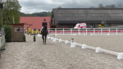 Quentin FAUCHEUR & Fleur de Lilas